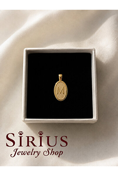 sirius jewelry 925 Ayar Gümüş Kolye Ucu Harf