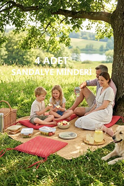 sevilya Comfort 4 τεμάχια μαξιλάρια καρέκλας με κορδόνια, ειδικά ραμμένα, από...