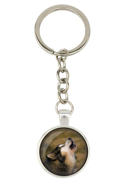 Art - Dog Alaskan Malamute - keychain with your photo, key decoration, bag pe...