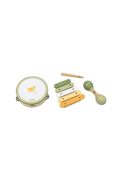 Viga Musical instrument set, Viga, PolarB, Birds