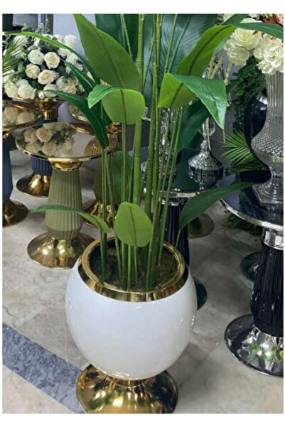 Savita Home Top Saksı Ve Starlice Ağacı