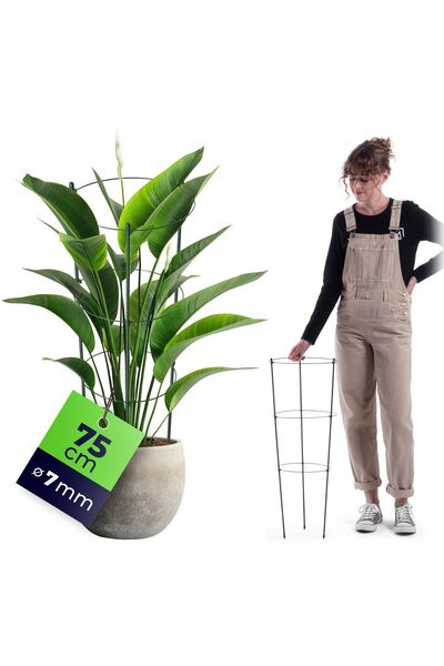 KADAX Suport inelar pentru plante și flori 75 cm, inele de susținere metalice