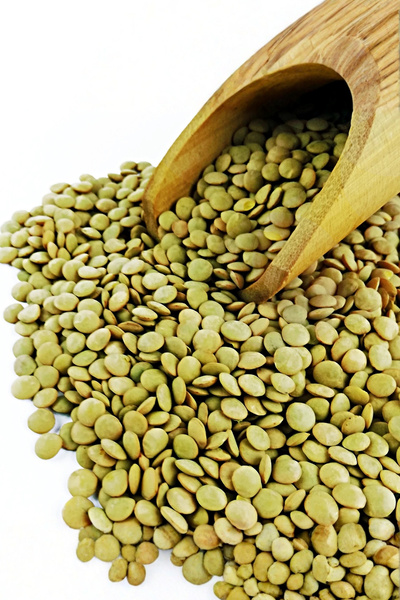 ATABAŞAK Atalık Tohum Yeşil Mercimek 1 Kg