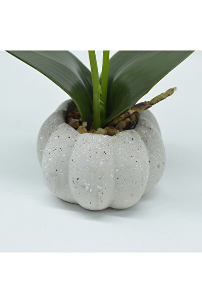Naimeed Company Orhidee decorativă în ghiveci ceramic, 30 cm, Naimeed D4856, Roz închis