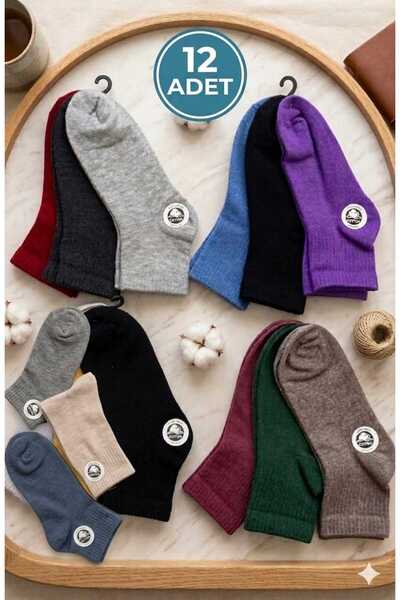 Funny Life 12-Piece Mixed College Socks Set Colorful and Comfortable - Cotton