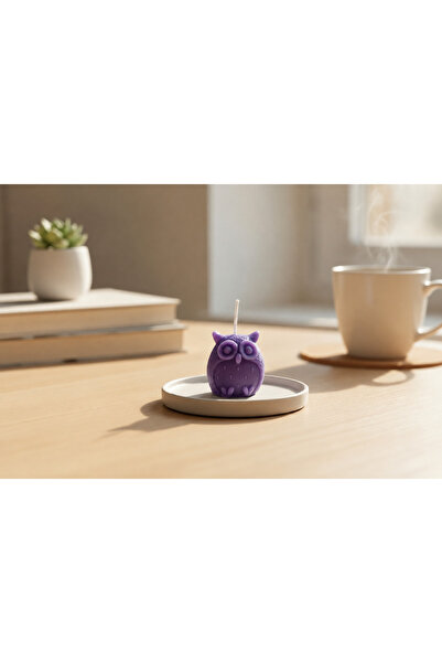 Amara Candle Kokulu Mini Baykuş 3’lü Set