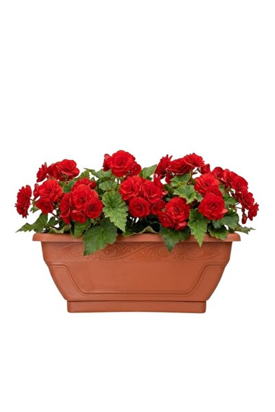 NIOVEL Flower Planters 40 cm Brown