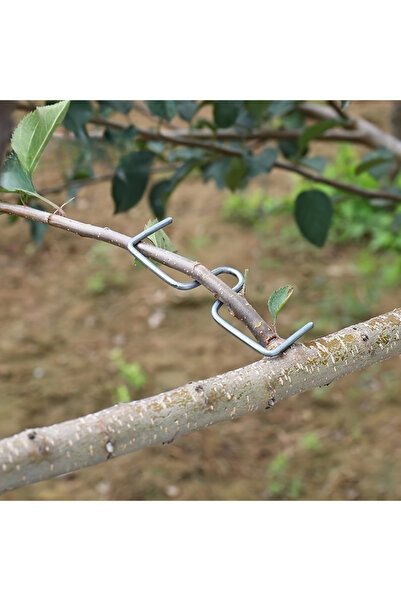Choice 50pcs [50pcs Metal Branch Puller]50pcs Durable Metal Garden Branch Pul...