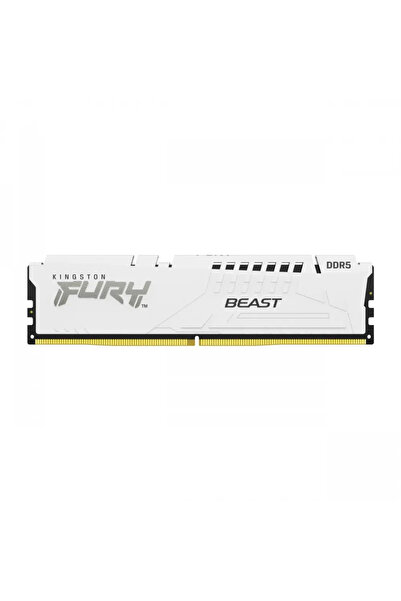 Kingston RAM FURY Beast DDR5 Modul 32 GB DIMM 288-PIN 288PIN (KF560C36BWE-32)...