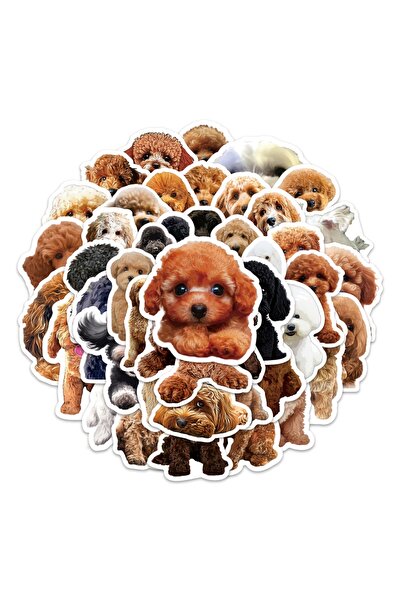 Choice 50pcs 50pcs Puppy Poodle Sticker Cute and Adorable Creative Realistic ...