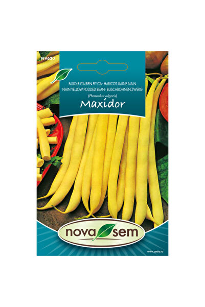 Novasem Seminte de fasole Maxidor Novasem, 7 g