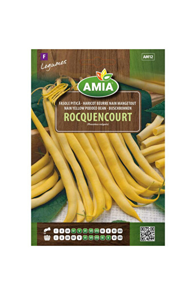 Amia Seminte de fasole fideluta galbena pitica Rocquencourt, 40 g