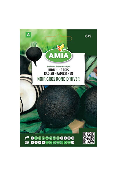 Amia Seminte de ridichi negre Noir gros Rond D'hiver 7 g
