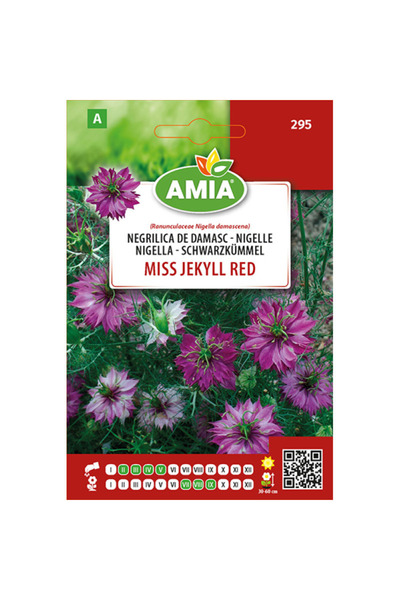 Amia Seminte de Negrilica de Damasc - Miss Jekyll Red Amia, 2 g