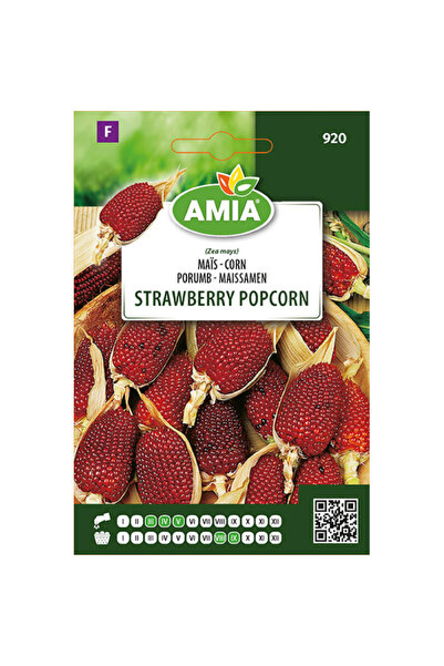 Amia Seminte de porumb Strawberry Pop Corn, 6,5 g