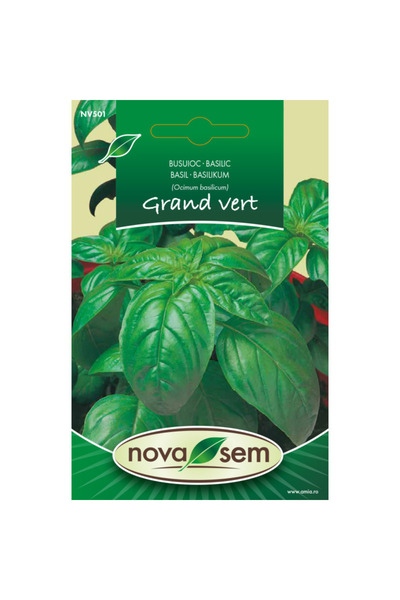 Novasem Seminte de busuioc Grand vert Novasem, 2 g