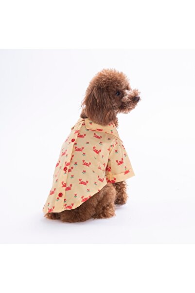 Pawstar Coral Charm Cat Dog Shirt - Cat Dog Outfit - Cat Shirt - Dog Shirt