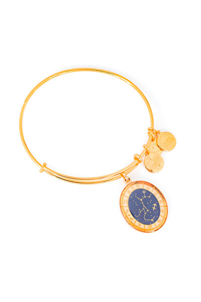Alex and Ani Bratara Metal A15EN37YG