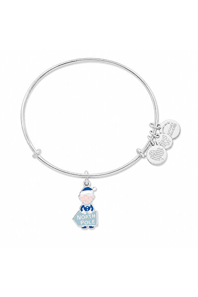 Alex and Ani Bratara Metal A17EBHOL02SS