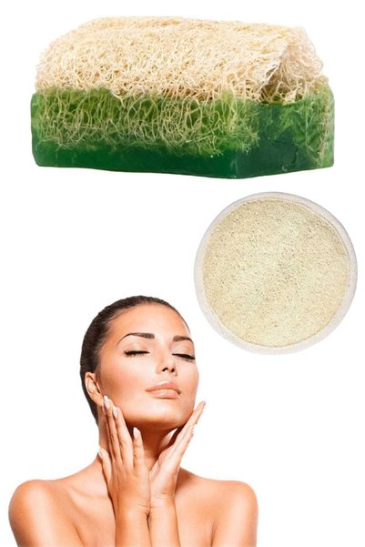 Nadom Set of 2 Natural Pumpkin Fiber Aloe Vera Soap Exfoliating Care Firming ...