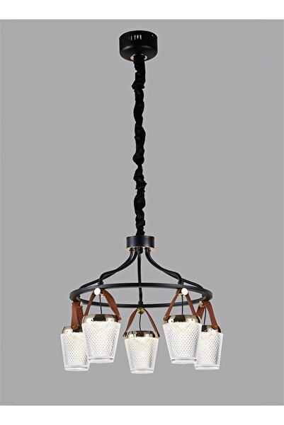 spolux Modern Lighting, Chandelier, Light, Flower crystal chandelieri Gold Co...