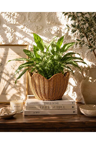 BUCOLIC Natural Rattan Dekoratif Sepet & Saksı