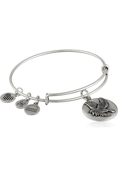 Alex and Ani ΓΥΝΑΙΚΕΙΟ ΒΡΑΧΙΟΛΙ A16EBSDRS (17,5 εκ.)