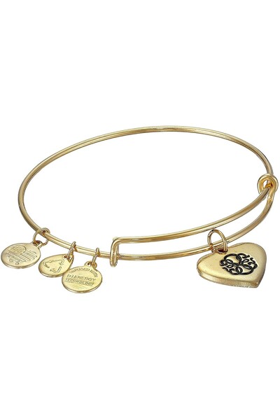 Alex and Ani ΓΥΝΑΙΚΕΙΟ ΒΡΑΧΙΟΛΙ A15EB02YG (17,5 εκ.)