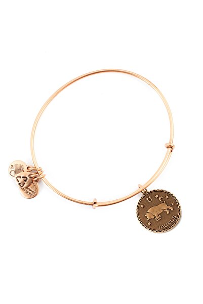 Alex and Ani ΓΥΝΑΙΚΕΙΟ ΒΡΑΧΙΟΛΙ A07EB40TARG (19-25ΕΚ.)