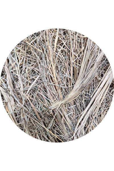 HERBS عشبة الاذخر 100 جرام أو البرسيم البري