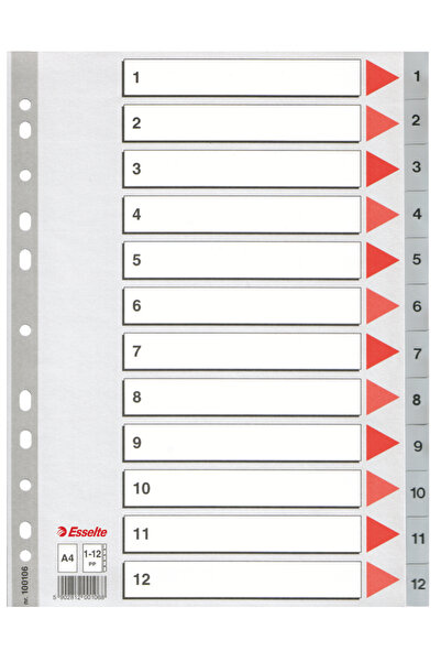Esselte Plastic Index Dividers 1-12