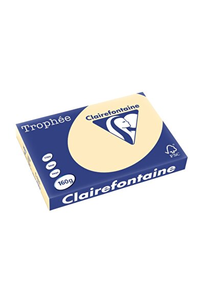 Clairefontaine Carton A3 160 g/m² culoare palidă 250 coli/bloc bej
