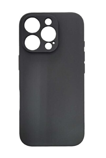 Spacer SPPC-AP-IP16P-TPU Back Case for iPhone 16 Pro, Black