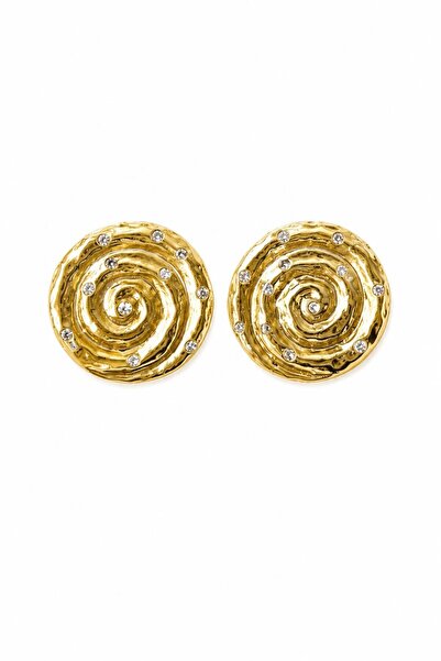 Charmist Steel Stardust Earrings