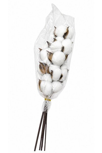 OEM Cotton 10 threads
