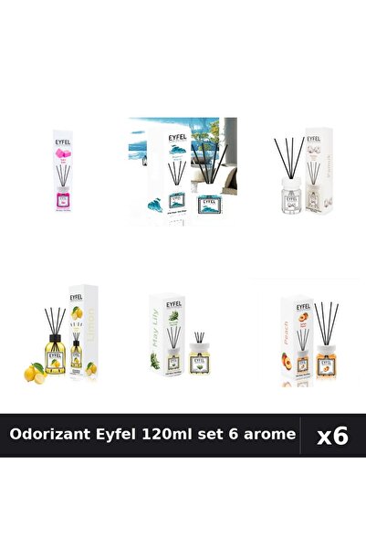 Eyfel Set 6 Odorizante Camera cu Betisoare 120ml - Arome Asortate Parfum