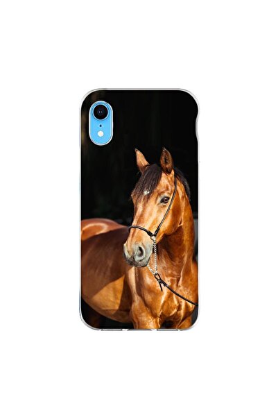 OEM Husa compatibila cu Apple iPhone XR Silicon Gel Tpu Model Cal pe Fundal N...