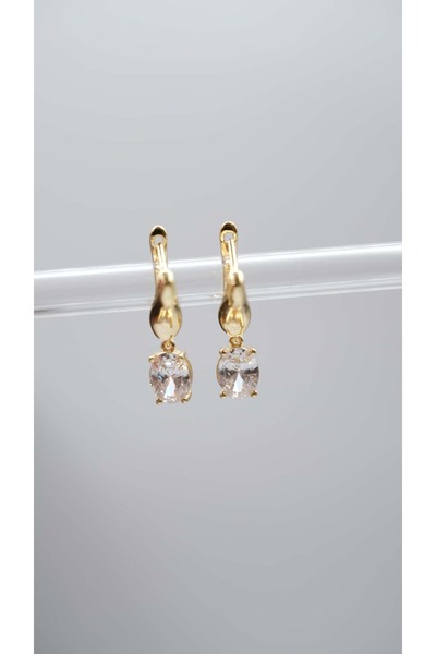 Jerie Gold Zircon Drop Stone Detailed Earrings