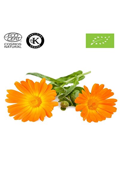 Herbstore.gr Καλέντουλα Λάδι ΒΙΟ