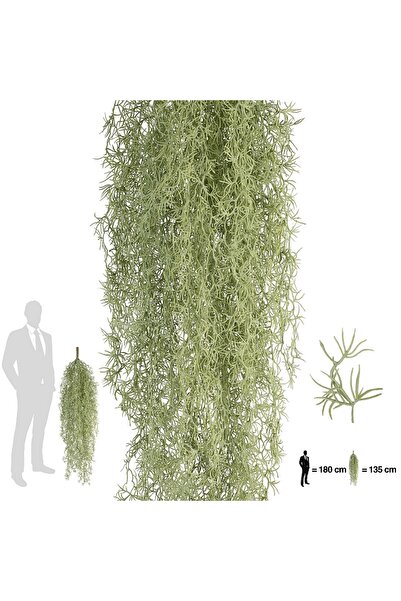 Roberto Rossi Planta curgatoare Long hair (tillandsia) 135 cm verde deschis