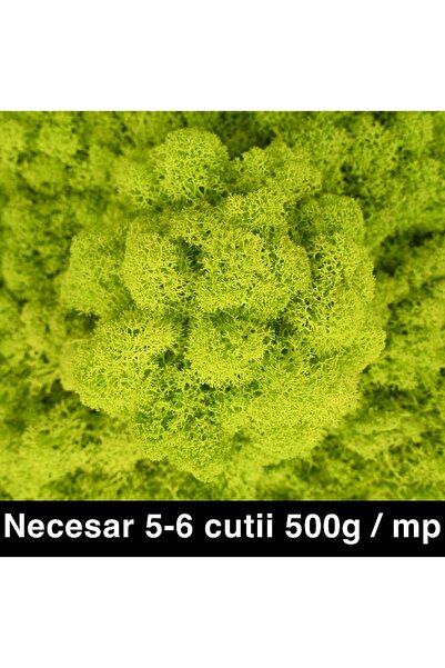 Roberto Rossi Licheni curatati si fara radacina conservati 500g NET, calitate...