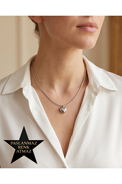 stainless steell 316L Steel Silver Women's Necklace with Heart Detail on a Ri...