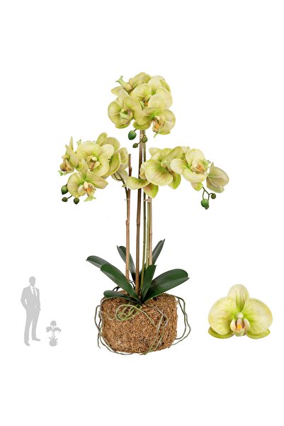 Roberto Rossi Orhidee artificiala verde cu galben cu aspect H61 cm cu 3 tulpini