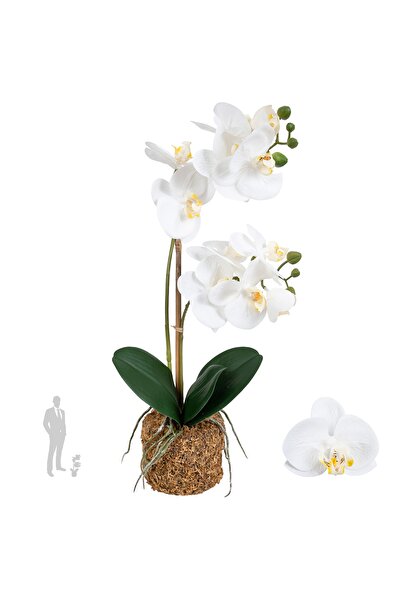Roberto Rossi Orhidee artificiala alba cu aspect H46 cm cu 2 tulpini