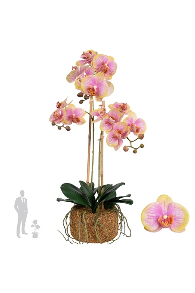 Roberto Rossi Orhidee artificiala galben cu roz cu aspect H64 cm cu 2 tulpini