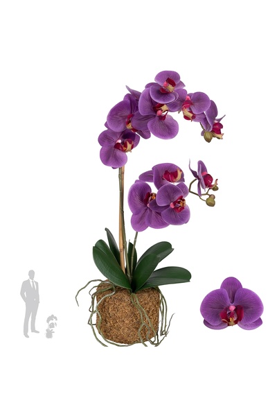 Roberto Rossi Orhidee artificiala mov cu aspect H56 cm cu 2 tulpini