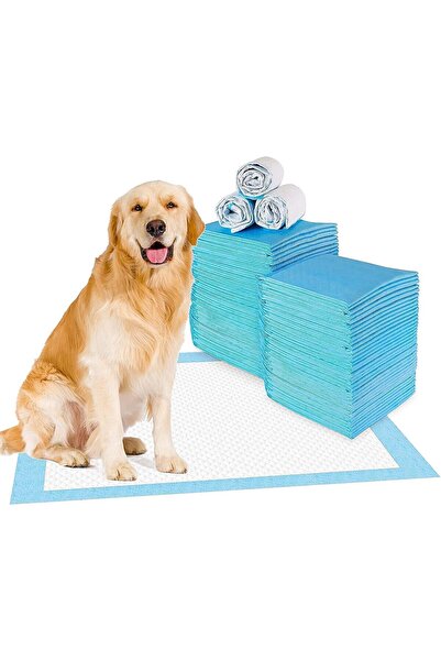 Generic 40 Pack - Super Absorbent 60x90 cm Pet Training Pads Disposable Pee P...