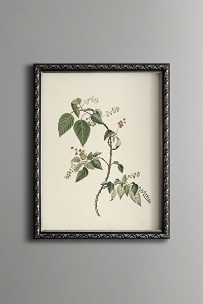 epiqart Wild Berry Branch Illustration - Vintage Patterned Frame - Thin Model