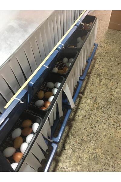 kanatlımalzemeleri 10 GÖZLÜ OTOMATİK TAVUK FOLLUK GALVANİZ 70-80 tavuk için i...