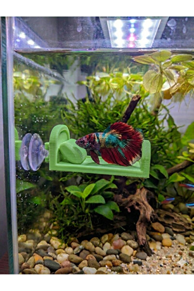 3D Betta Balığı İçin Özel Tasarım PETG Yeşil Dinlenme Yatağı - 8x5 cm - Vantuzlu